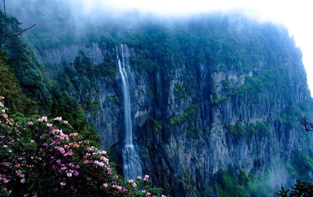 牛油果面包